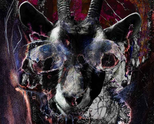 goat-skull-head
